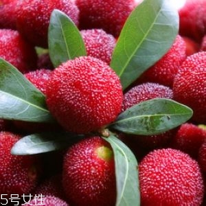 新鮮楊梅如何做酸梅湯？楊梅湯兩做法