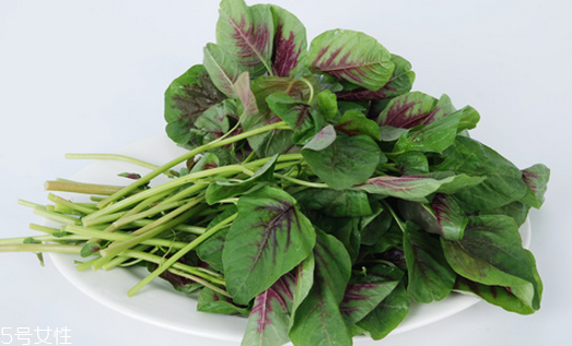 吃莧菜可以減肥嗎？減肥食物熱量排行榜