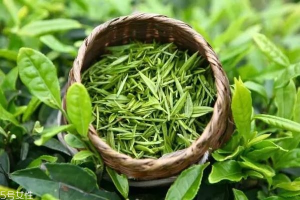 晚上餓了吃什么不長胖？全球公認最強減肥食物