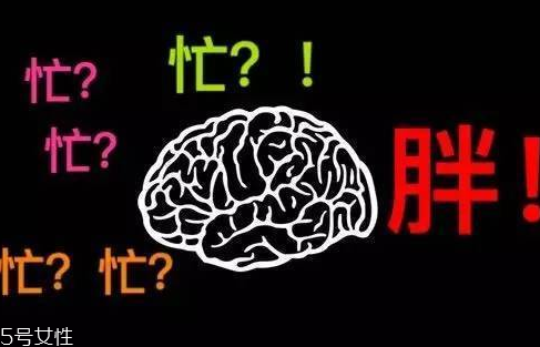 久坐不動上班族如何減肥？越努力工作的人越容易發(fā)胖