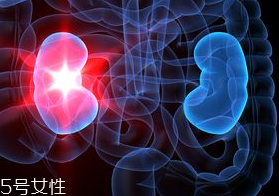 腎病為什么會(huì)發(fā)展到尿毒癥？這些因素一定要注意