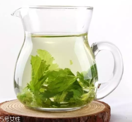 桑葉茶哪些人不能喝？過多飲用傷脾胃?jìng)I