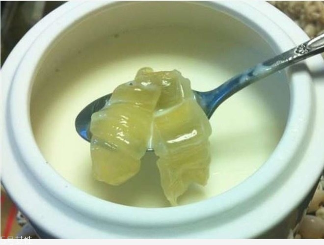 花膠燉牛奶的功效與作用？保養(yǎng)皮膚效果好
