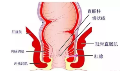肛瘺非手術(shù)治療才可以嗎？手術(shù)是治療的關(guān)鍵途徑