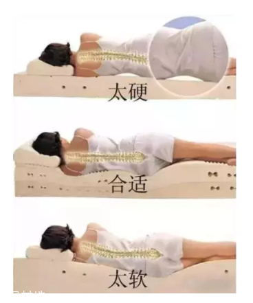 床越軟越好嗎？軟床導(dǎo)致駝背