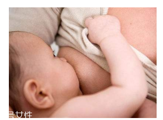 如何逐漸減少母乳的次數(shù)？轉(zhuǎn)移注意力很管用