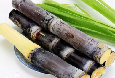 甘蔗的吃法有什么不同？吃法不同療效不同