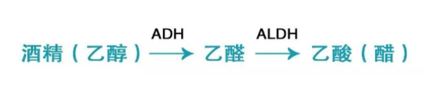 喝酒致癌的真相是什么？乙醛致癌太可怕