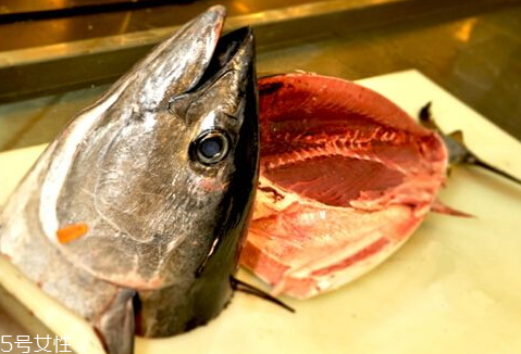金槍魚(yú)不能和什么一起吃 金槍魚(yú)相克食物