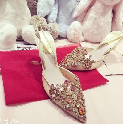 rene caovilla是奢侈品嗎？美到讓人產(chǎn)生錯(cuò)覺