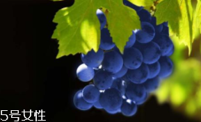 葡萄籽補(bǔ)劑要不要買？不如早睡早起