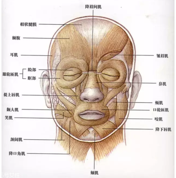 法令紋怎么去除？最有效的方法是醫(yī)美