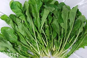薺菜包餃子需要焯水嗎？小心有苦澀的味道
