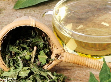 蒲公英茶能減肥嗎？要這樣搭配