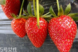 寶寶咳嗽可以吃草莓嗎？看是什么類型的咳嗽