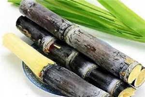 冬季吃甘蔗有什么好處？它被稱為冬季人參
