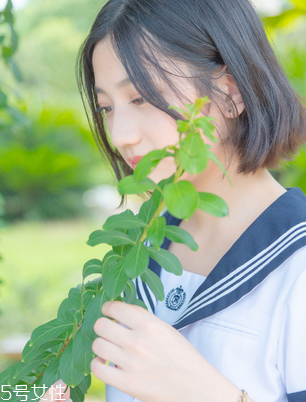舒爾佳會(huì)反彈嗎？減肥不反彈的好方法