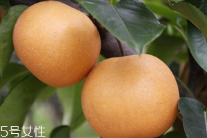 梨子里面發(fā)黑還能吃嗎？影響梨子的保存時(shí)間