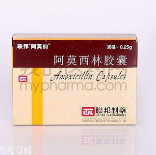 阿莫西林好還是阿奇霉素好？消炎藥哪家強