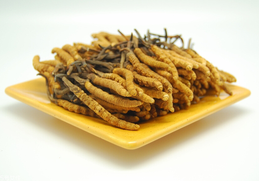 吃冬蟲(chóng)夏草的好處有哪些？四大好處任你選