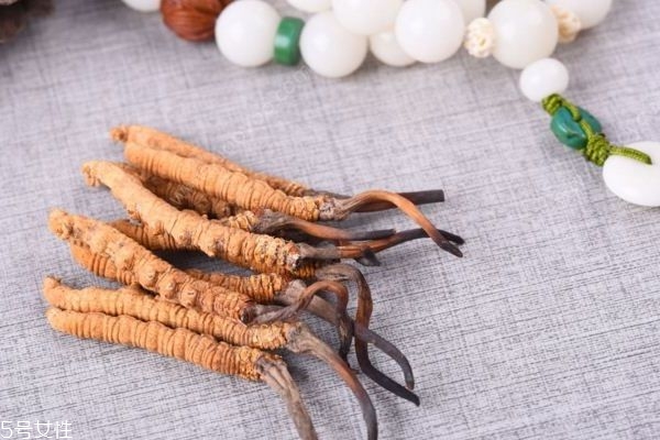 吃冬蟲(chóng)夏草的好處有哪些？四大好處任你選