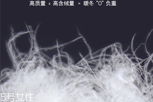 lets diet羽絨褲多少錢？lets diet羽絨褲保暖又修身