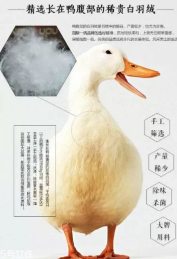 lets diet羽絨褲多少錢？lets diet羽絨褲保暖又修身