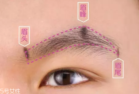 眉型常見失誤有哪些？眉頭壓實很難看