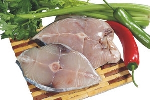 馬鮫魚(yú)多少錢(qián)一斤 馬鮫魚(yú)最新價(jià)格行情