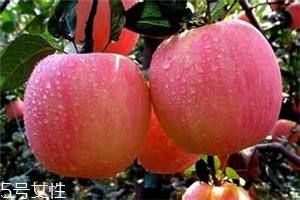 空腹吃蘋果好不好？一天最多吃幾個蘋果？