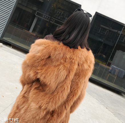 皮草和貂哪個(gè)貴？它們的價(jià)值你清楚嗎