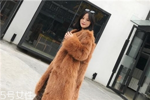皮草和貂哪個(gè)貴？它們的價(jià)值你清楚嗎