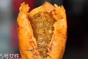 牛卵坨籽可以吃嗎？看看它的神奇功效