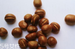 腸胃疾病為什么不能吃栗子？導致腸胃脹氣