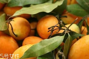 枇杷芒多少錢(qián)一斤？品質(zhì)越好價(jià)格越貴