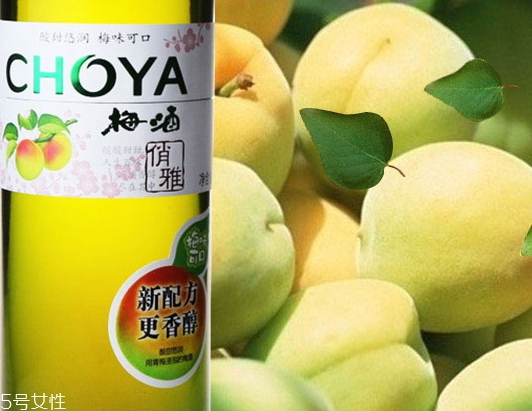 choya梅酒多少錢？多少度？