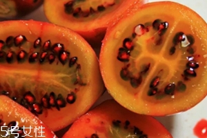 樹(shù)番茄多少錢一斤？