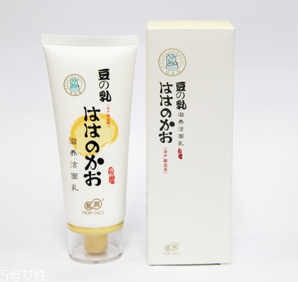 親潤和袋鼠媽媽哪個好用？孕婦專用品牌