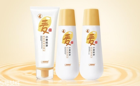 親潤和袋鼠媽媽哪個好用？孕婦專用品牌