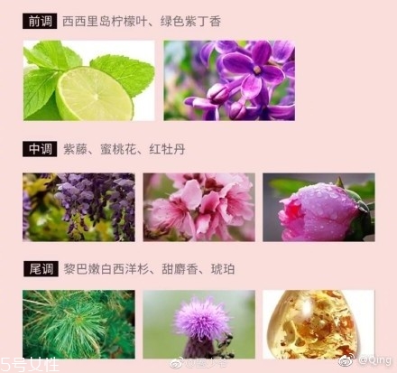 瀘州老窖香水多少錢？你身上有他的白酒味