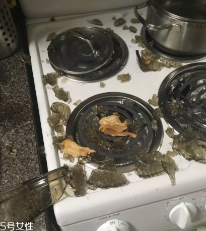 康寧鍋會爆炸嗎？請小心使用