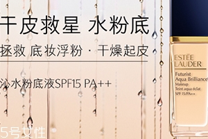 雅詩蘭黛粉底液和氣墊哪個好？