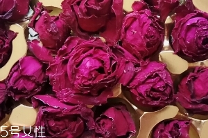 墨紅玫瑰可以天天喝嗎？玫瑰養(yǎng)顏也要適量