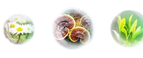 香蒲麗防曬霜怎么樣？從防曬值和成分說(shuō)開(kāi)去