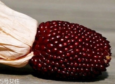 草莓玉米多少錢一斤？酷似草莓的玉米