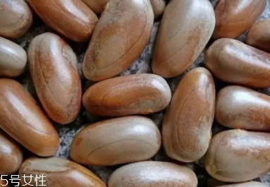 榴蓮蜜怎么吃？不同的吃法風(fēng)格