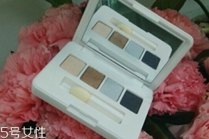 雅詩蘭黛眼影盤怎么用？