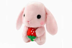AMUSE玩偶是哪個(gè)國家的牌子？東京御宅族文化商品