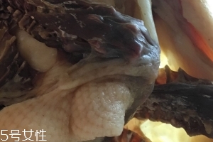 板鴨怎么做好吃？這樣做香氣撲鼻
