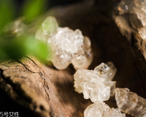 雪燕和銀耳哪個好？其實可以一起食用